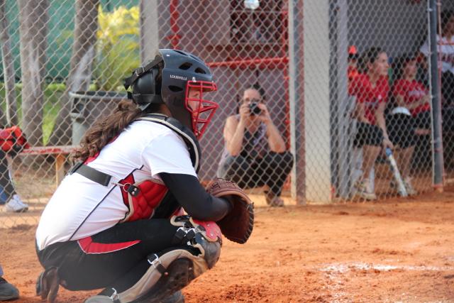 Softball Flies by Ferguson