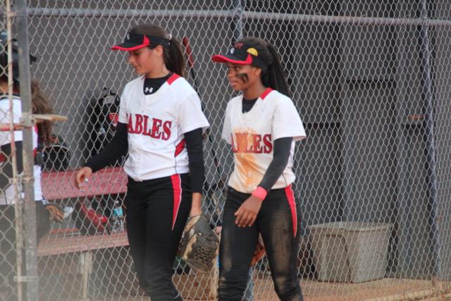 Softball Flies by Ferguson