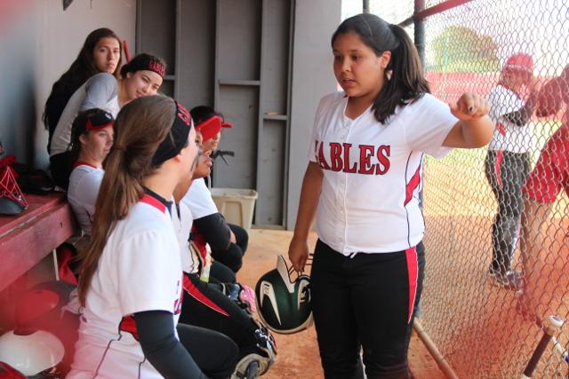 Softball Flies by Ferguson