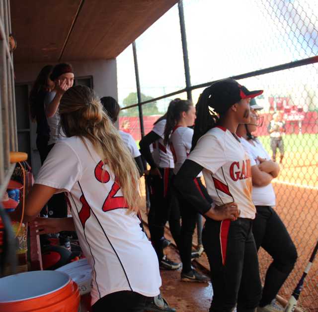 Softball Flies by Ferguson