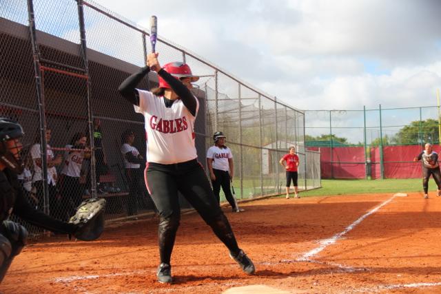 Softball Flies by Ferguson