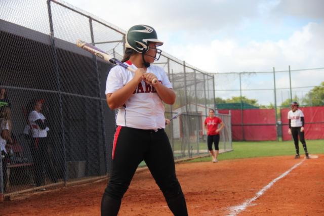 Softball Flies by Ferguson