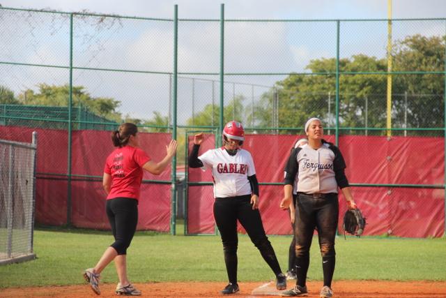 Softball Flies by Ferguson