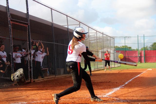 Softball Flies by Ferguson