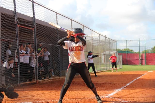 Softball Flies by Ferguson