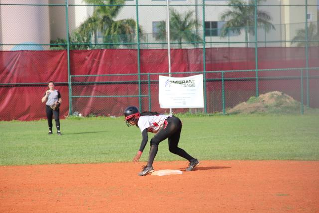 Softball Flies by Ferguson
