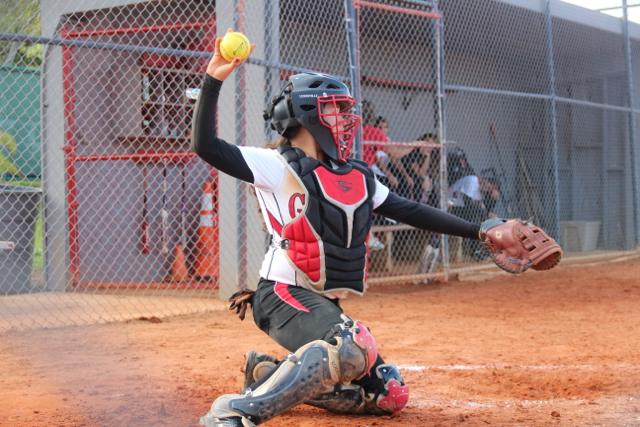 Softball Flies by Ferguson