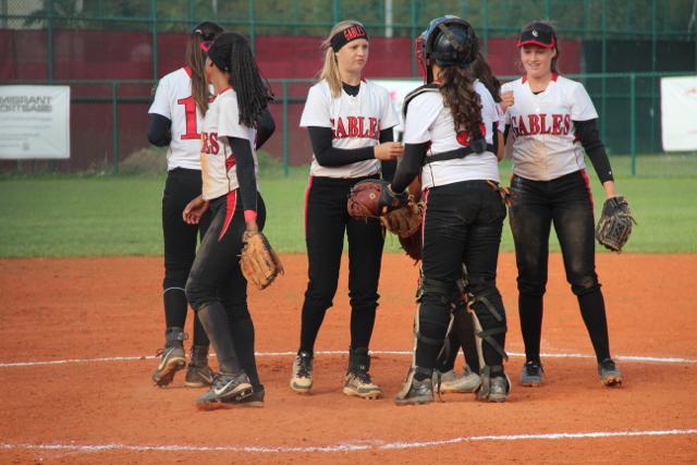 Softball Flies by Ferguson
