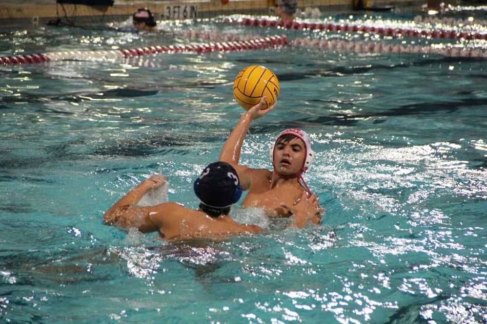 Water Polo: Gables Makes a Splash