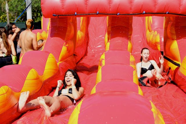 Senior Picnic 2015