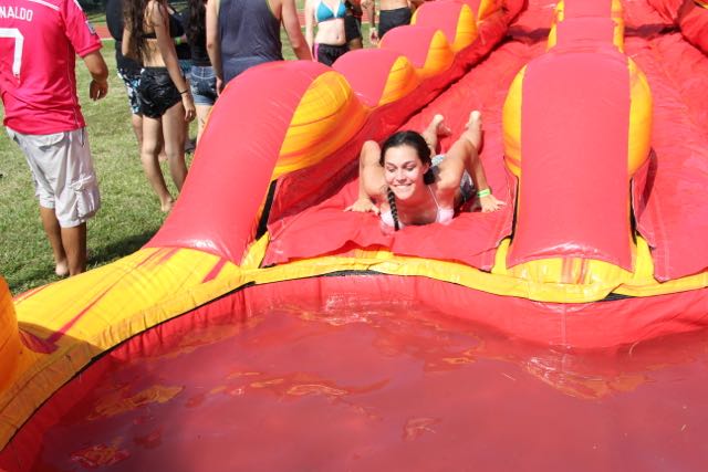 Senior Picnic 2015