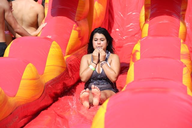 Senior Picnic 2015
