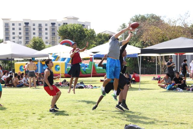 Senior Picnic 2015