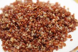 Quinoa is classified as a pseudo-cereal.