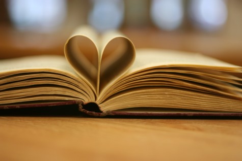 A good book might be a great edition to your summer.