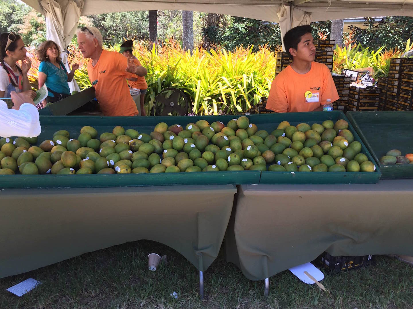 Fairchild Botanical’s Mango Fest CavsConnect