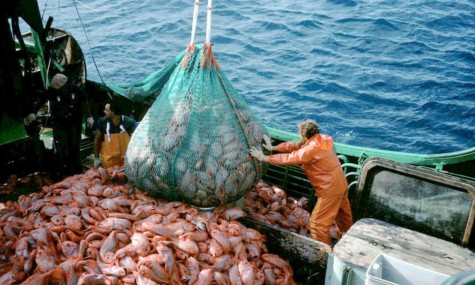 An example of trawling.