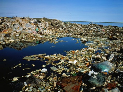 A look into what the ocean looks like in some places.