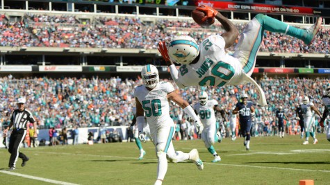 #20 Reshad Jones scoring his first and only touchdown of the game.