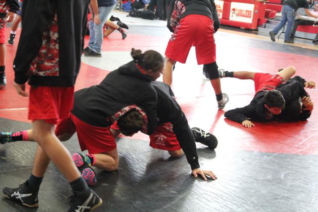 Wrestling Season Start Up