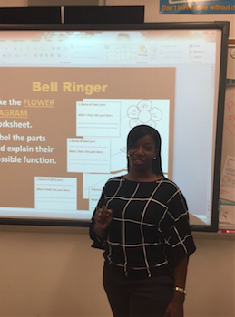 Ms. Phillips explaining something on the Promethean board