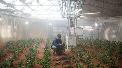 Watney and his potatoes.