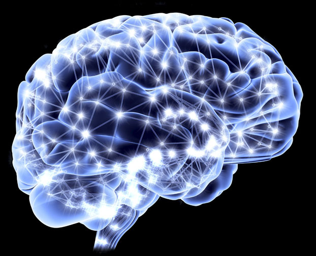 The brain is negatively impacted by concussions.