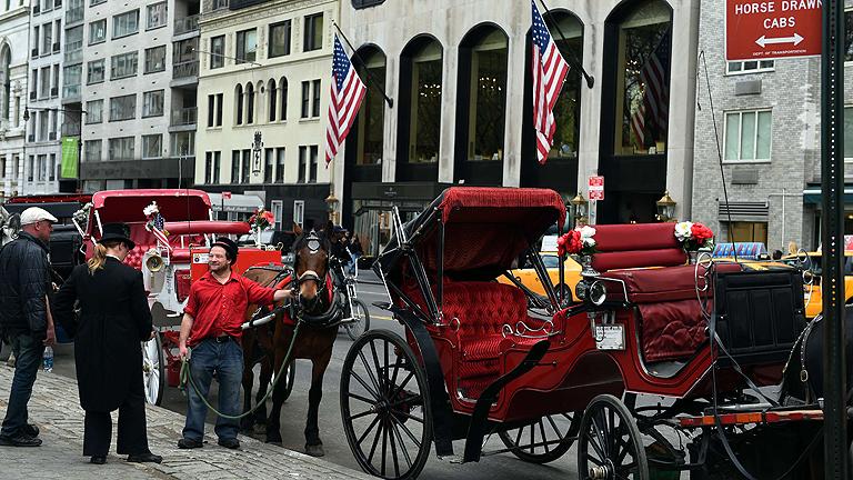 Carruajes de caballos en Nueva York.