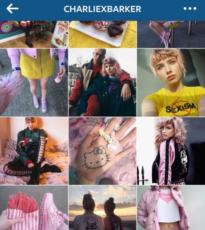 Charlie Barker's instagram feed rotates different colors every couple of weeks keeping her feed new and refreshing 
