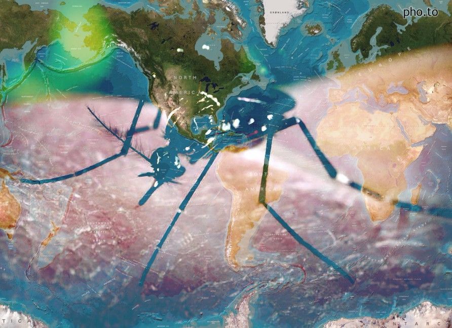 Although+mosquitos+that+transmit+the+disease+can+be+found+worldwide%2C+tropical+areas+are+at+a+higher+risk.+