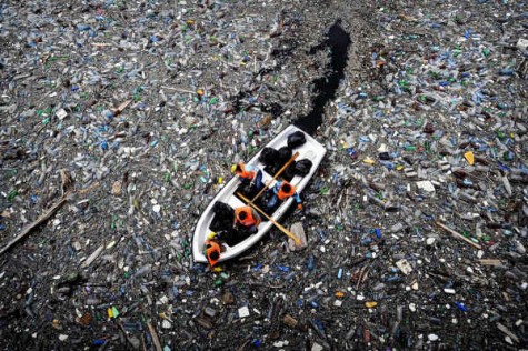 Pictured is a fragment of the Pacific Garbage