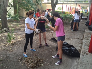 Students gather leaves by the Alumni Patio.