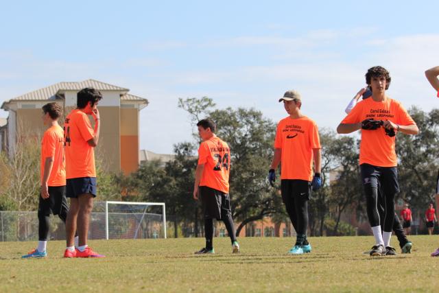 Gables Ultimate: The Snow Leopards