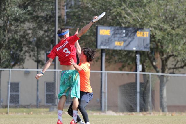 Gables Ultimate: The Snow Leopards
