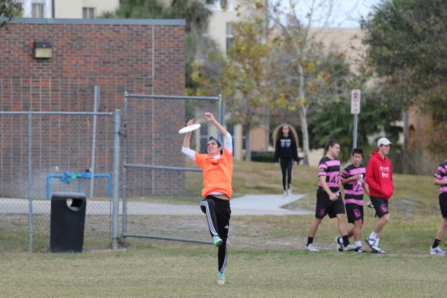 Gables Ultimate: The Snow Leopards
