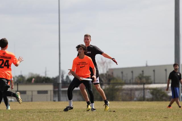Gables Ultimate: The Snow Leopards
