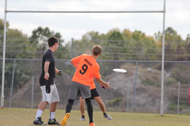 Gables Ultimate: The Snow Leopards
