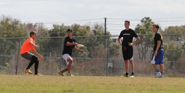 Gables Ultimate: The Snow Leopards