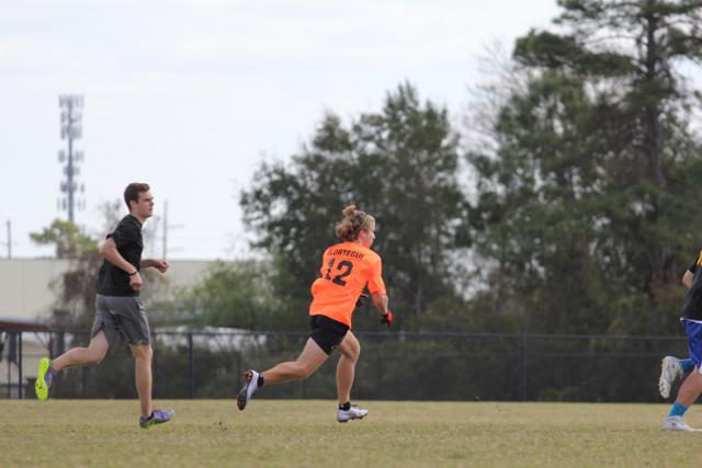 Gables Ultimate: The Snow Leopards