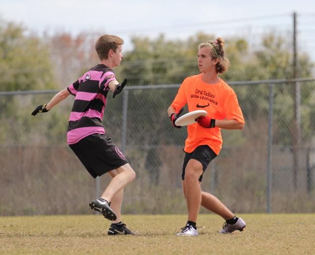 Gables Ultimate: The Snow Leopards