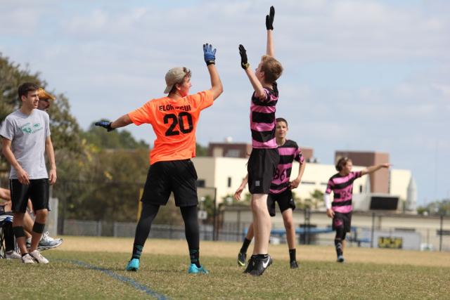 Gables Ultimate: The Snow Leopards
