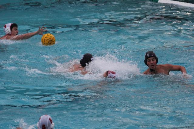 Gables Water Polo Faces Ransom