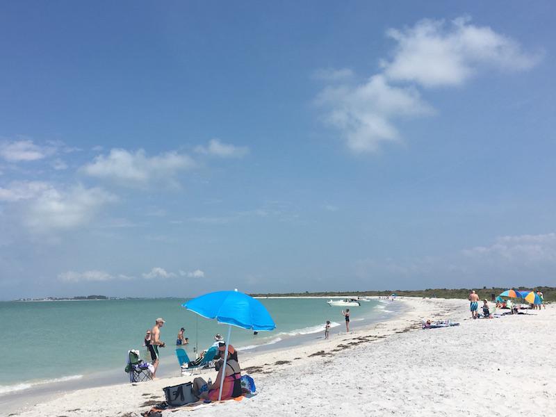 Cayo Costa State Park is perfect for those who want to disconnect from the modern world and simply connect with nature 