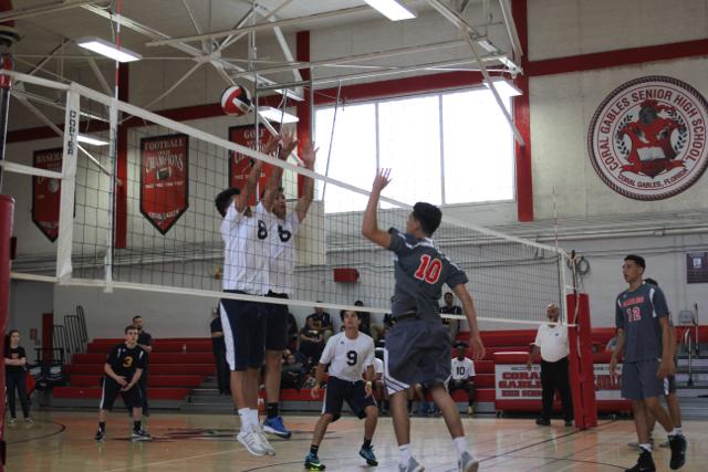 Boys JV Volleyball Takes A Loss Against Coral Park Rams