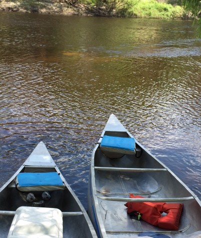 Canoeing down the Peace River in Arcadia, Florida will put a smile on any nature lover's face.