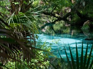 Ocala National Park, Silver Springs