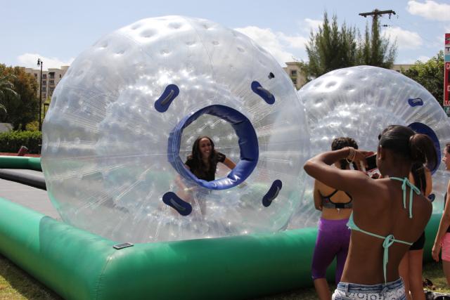 Seniors Bond at Annual Picnic