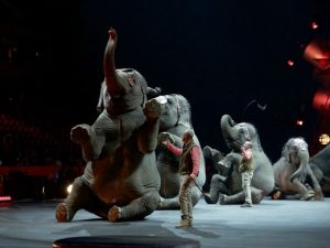 The retiring elephants will be settling into the Ringling Bros. Center for Elephant Conservation, a sanctuary where they will be tucked behind cattle ranches and orange groves.