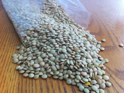 Out of all the legumes, lentils are the most helpful of brain processes. 