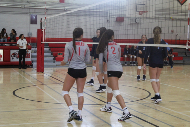 Lady Cavs Volleyball Take Loss Against Lourdes